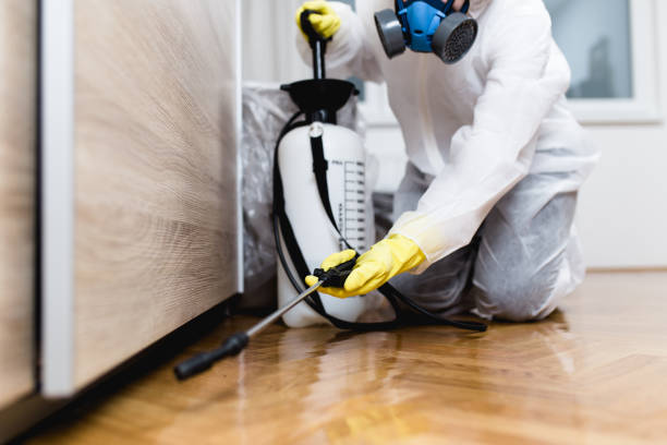 Best Residential Pest Control  in Fairchance, PA