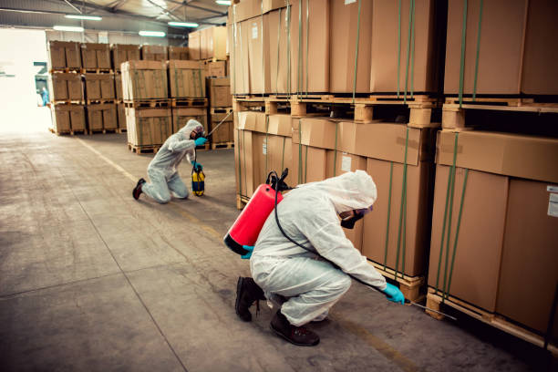 Best Termite Control Services  in Fairchance, PA