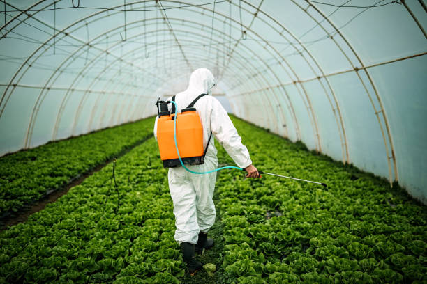 Best Commercial Pest Control Services  in Fairchance, PA