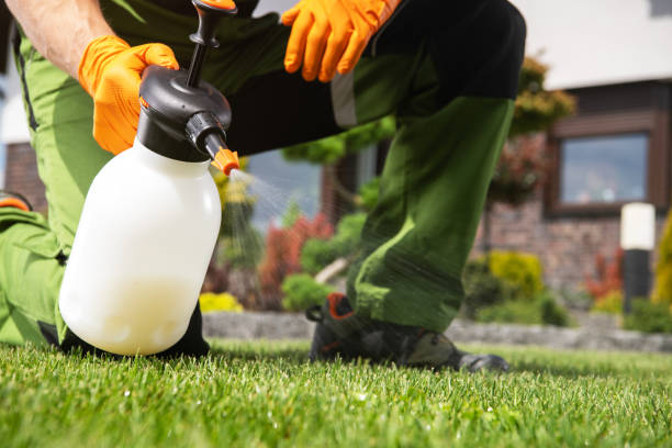 Best Bird Control  in Fairchance, PA