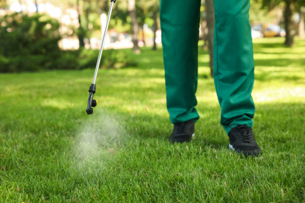 Best Pest Prevention Services  in Fairchance, PA