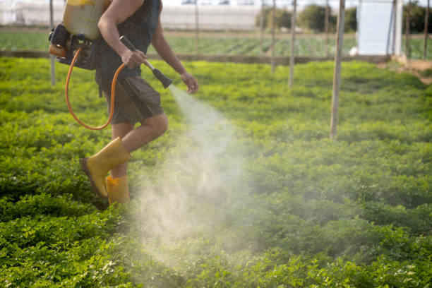 Best Best Pest Control Companies  in Fairchance, PA
