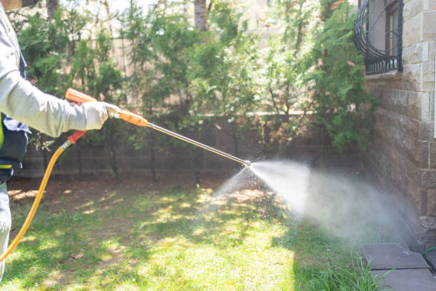 Best Flea Control Services  in Fairchance, PA