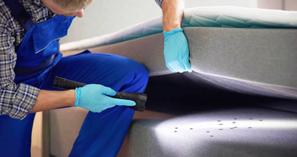 Pest Prevention Services in Fairchance, PA