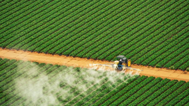 Best Mosquito Control Services  in Fairchance, PA