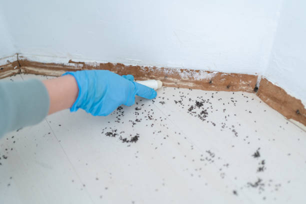 Best Pest Prevention Services  in Fairchance, PA