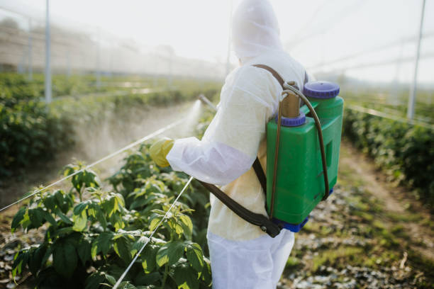 Best Pest Inspection Near Me  in Fairchance, PA